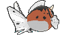 金魚王