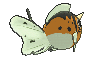 金魚王