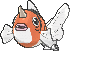 金魚王