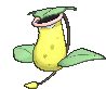 大食花